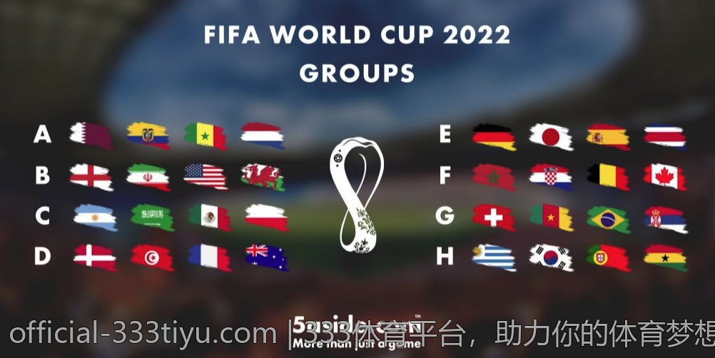 333体育平台，助力你的体育梦想起航